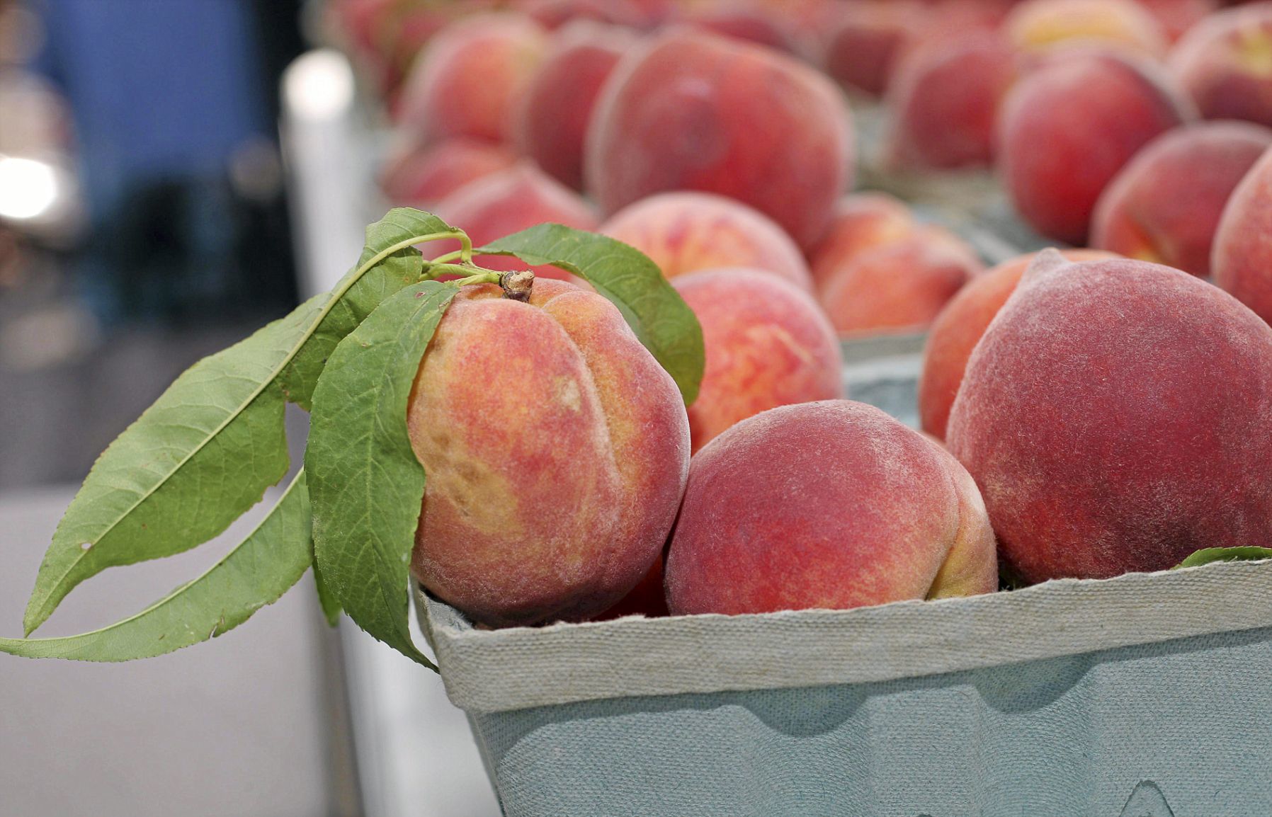 Porter Peach Festival